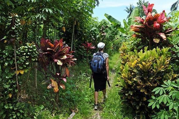 Sun coast waling tours Fiji